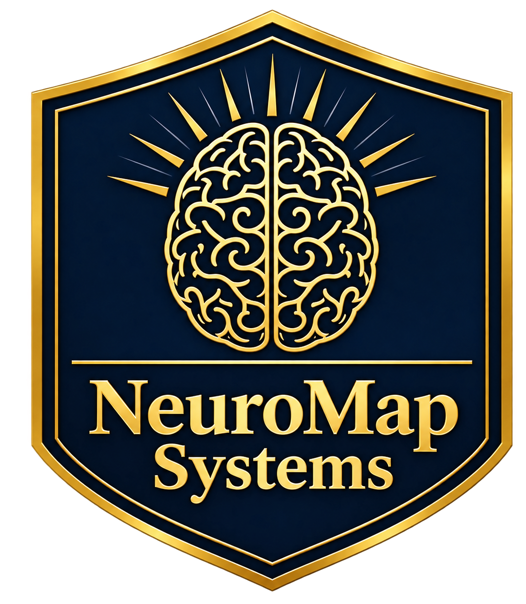 NeuroMap Systems